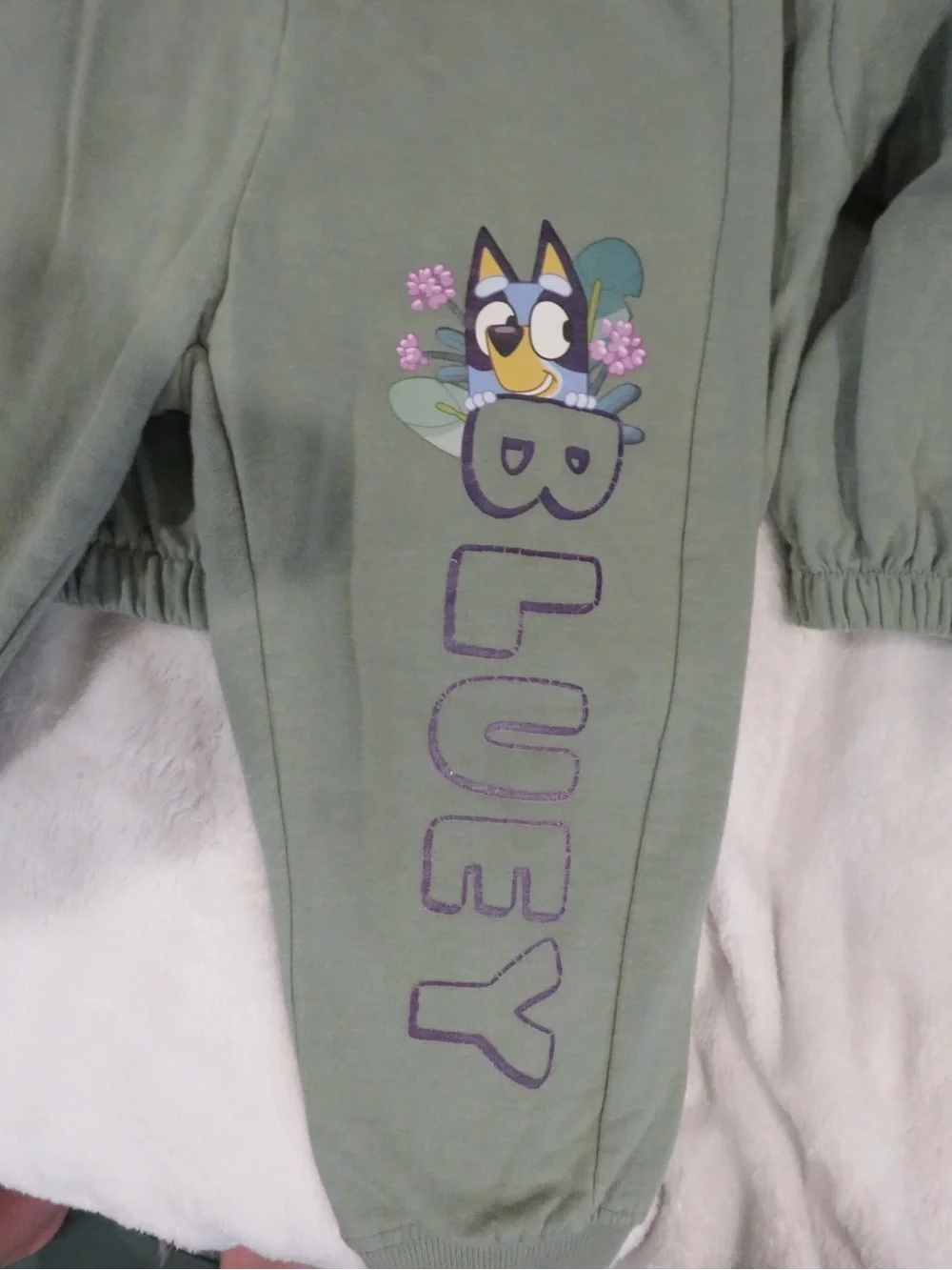 Bluey Bundle